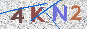 Kontrolní text